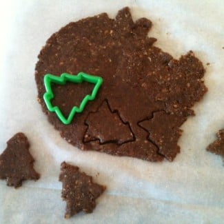 A cookie cutter with a christmas tree on it.