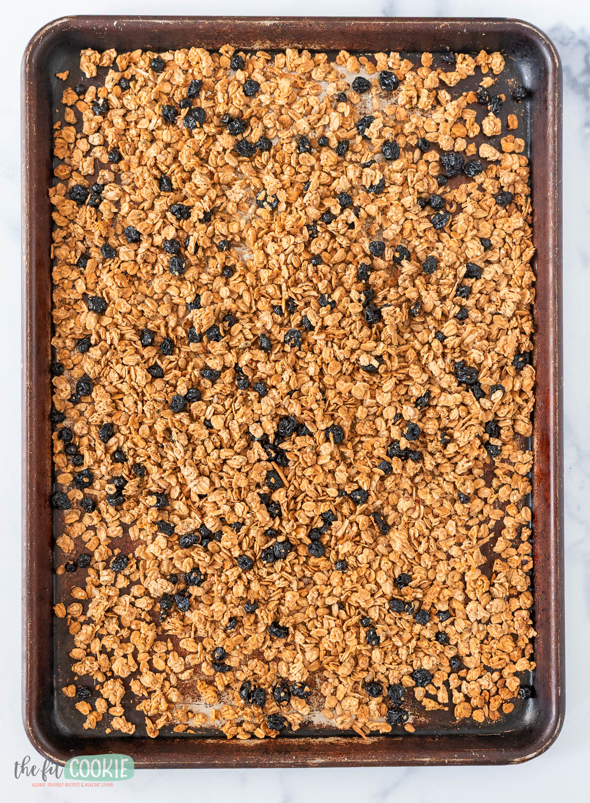 A baking sheet filled with golden-brown maple sunbutter granola mixed with dried blueberries, spread out evenly and freshly baked.