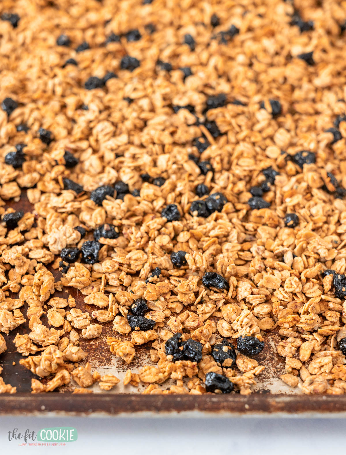 A baking sheet covered with maple sunbutter granola and dried blueberries.