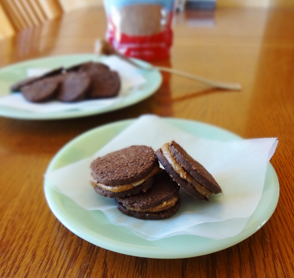 My healthier version of a sandwich cookie, these Gluten Free Chocolate Sandwich Cookies with Coconut Sugar Filling are easy to make and delicious! - @TheFitCookie #glutenfree 