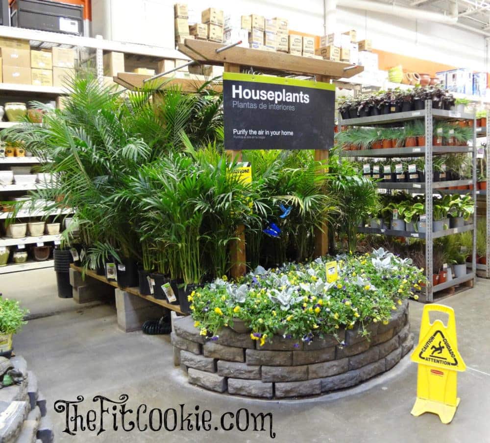 Earth DayInspired DIY Projects with The Home Depot The Fit Cookie