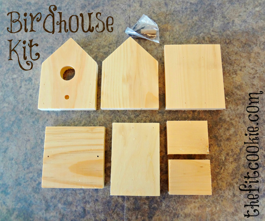 Easy Diy Birdhouse Kit Project The Fit Cookie