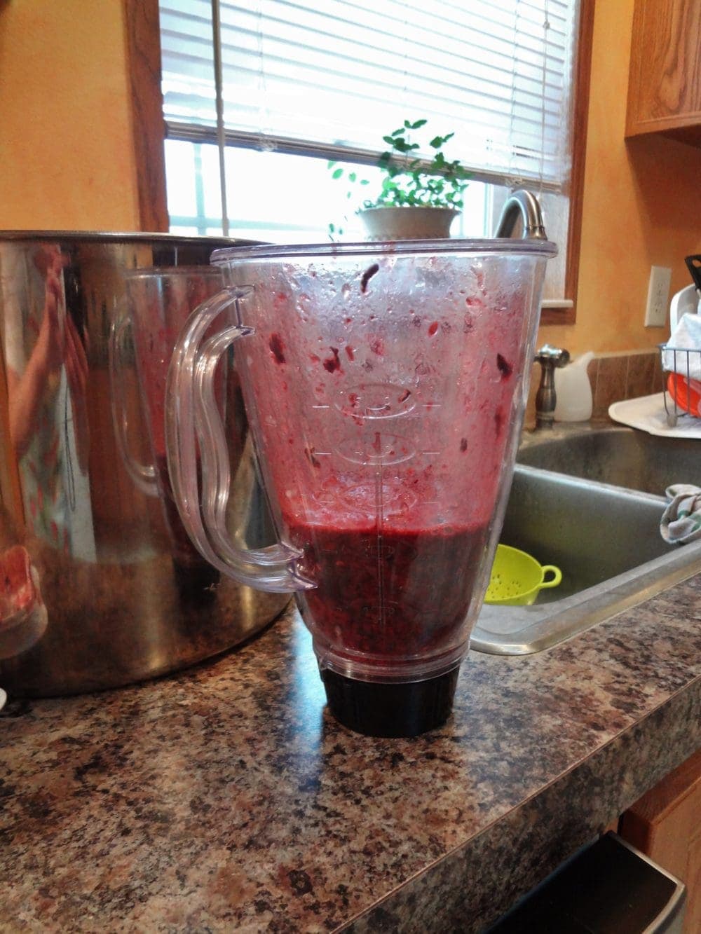 Homemade Concord Grape Juice • The Fit Cookie