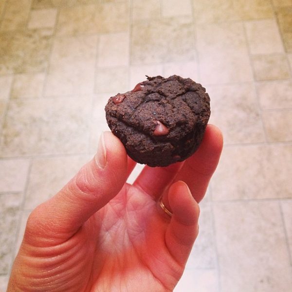 Grain Free Chocolate Mini Muffins - The Fit Cookie