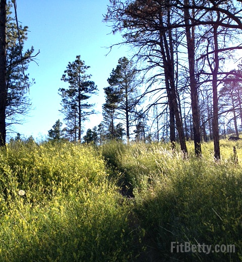 Hike Wyoming: Red Beds Trail Devil's Tower - FitBetty.com #hike #wyoming #trail