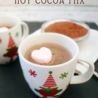 Dairy Free Hot Cocoa Mix - #dairyfree #recipe #glutenfree @TheFitCookie #cleaneating