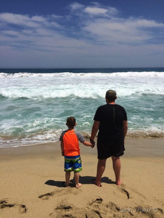 TFC Travels: San José del Cabo http://wp.me/p2Bw44-4DS #travel @TheFitCookie #Mexico #vacation