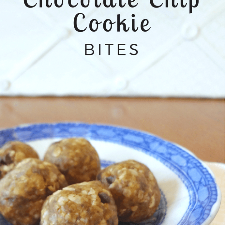 No Bake Chocolate Chip Cookie Bites (Gluten Free and Vegan) • The Fit Cookie
