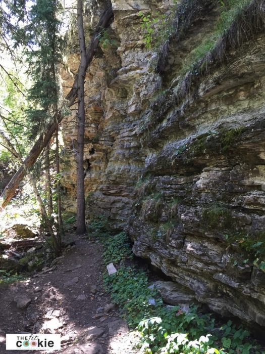 Devil's Bathtub hike in the Black Hills - #hike #outdoors #fitfluential 