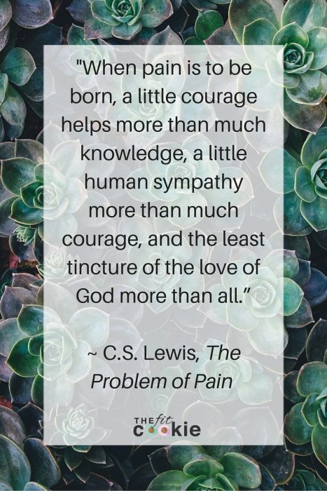 photo of succulent plants with C.S. Lewis motivational quote 