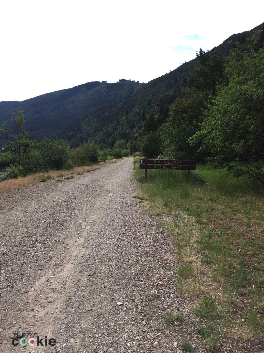 Kim Williams Nature Trail Missoula - @thefitcookie #hike #montana #trail #fitfluential 