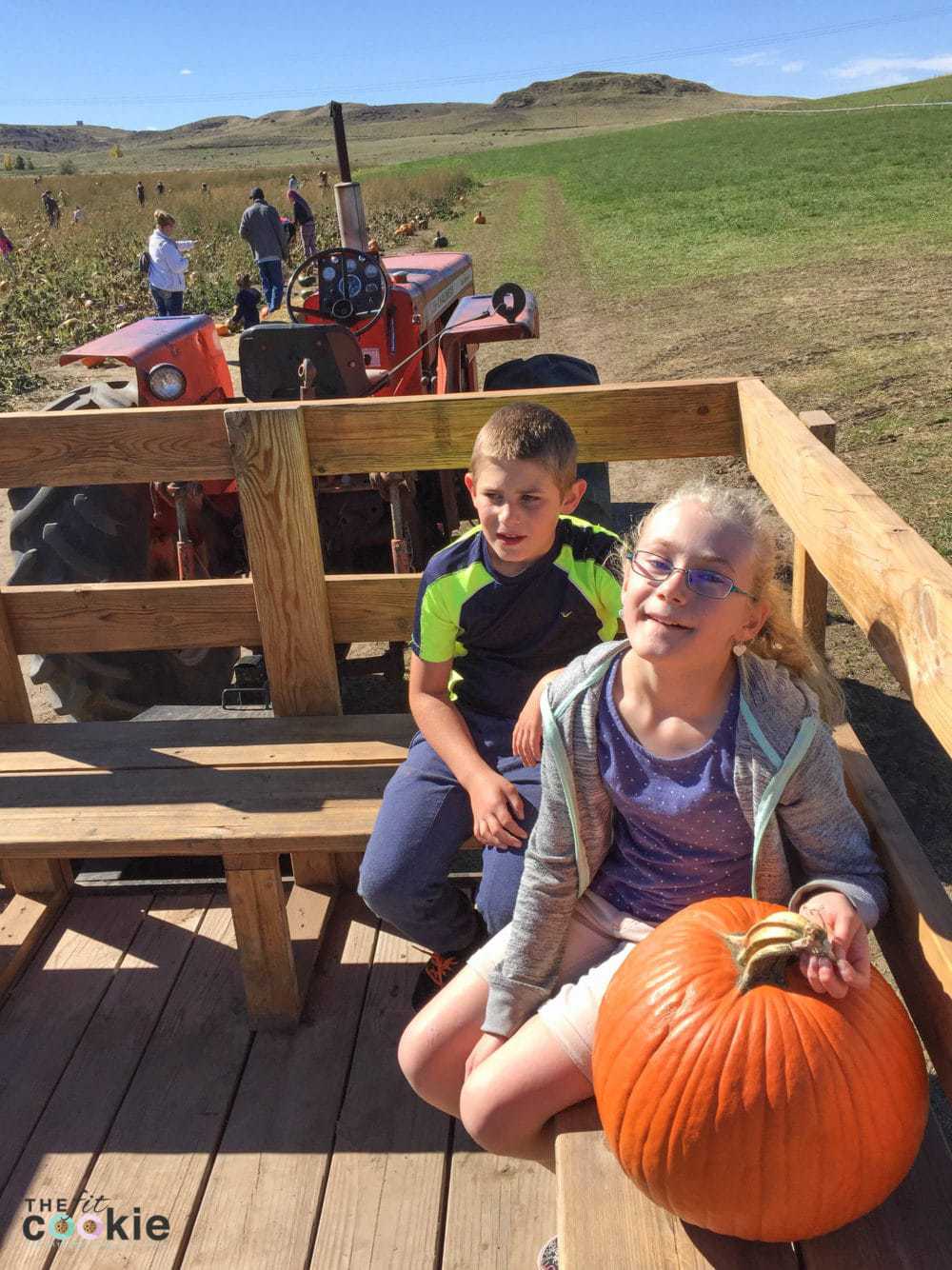 Pumpkin picking at the Koltiska Pumpkin Patch in Sheridan WY - @thefitcookie #wyoming #fall #family 