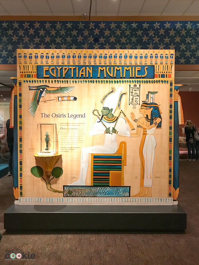 Ancient Egypt Exhibit at the Denver Museum of Nature and Science - @TheFitCookie
