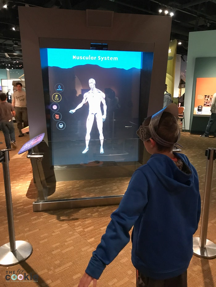 Expedition Health exhibit at the Denver Museum of Nature and Science - @TheFitCookie