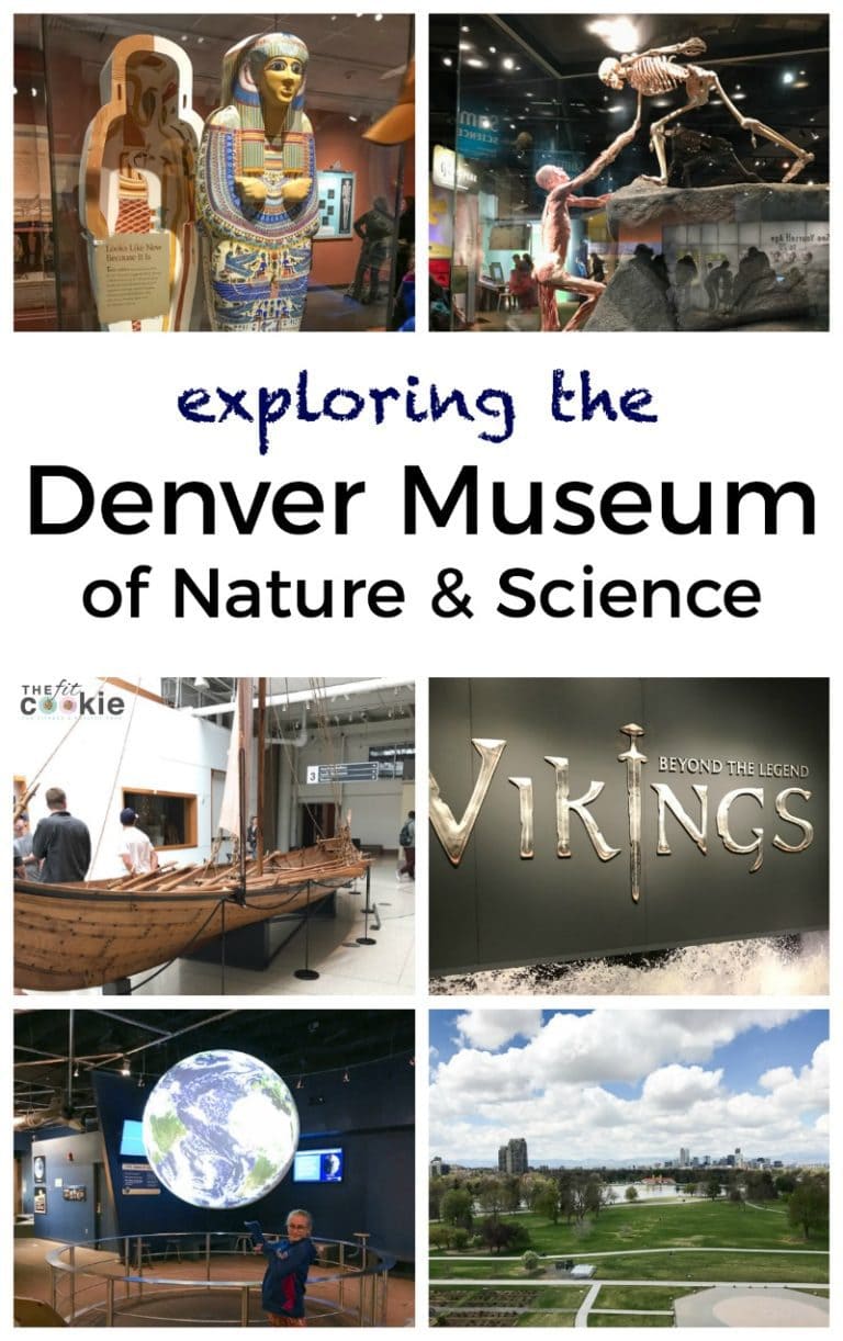 Exploring the Denver Museum of Nature and Science • The Fit Cookie