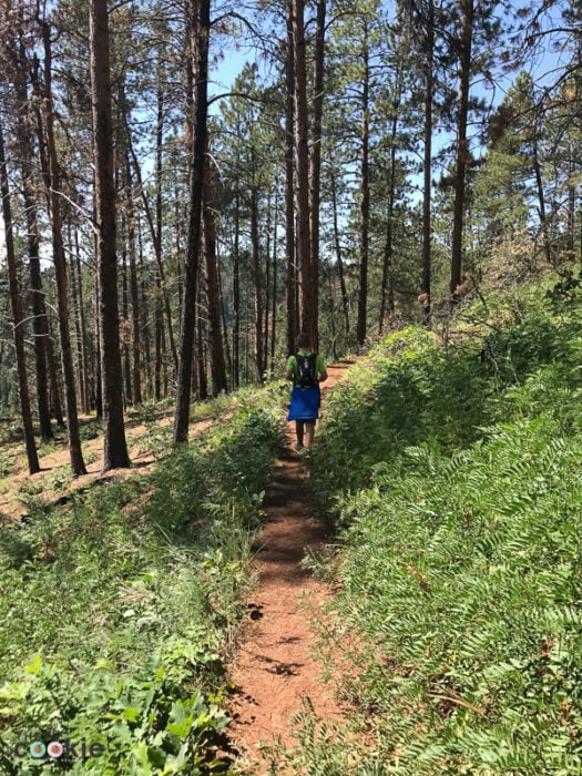 Looking for a fun, moderate difficulty trail to hike in the Black Hills? Crow Peak trail is a great trail with a wonderful view of Spearfish and the surrounding area - @TheFitCookie