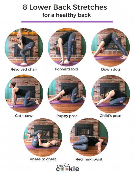 image collage of 8 lower back stretches for a healthy back