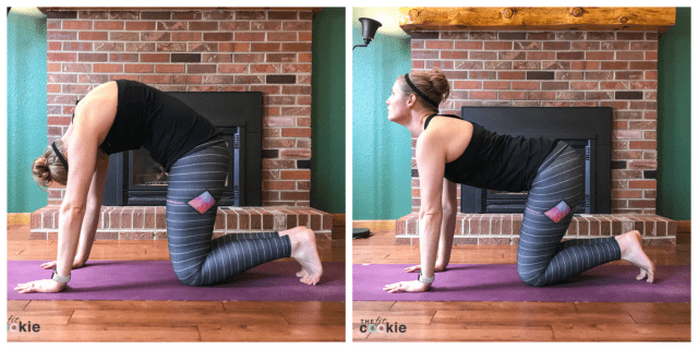cat and cow yoga pose and stretch for a healthy lower back
