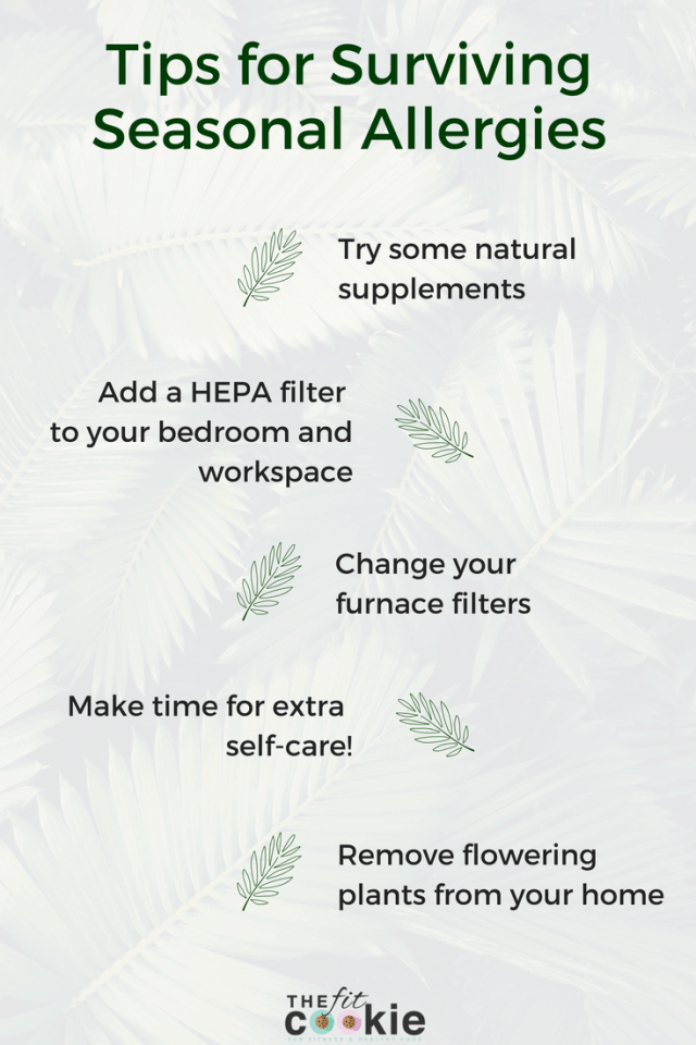 Tips for Surviving Seasonal Allergies • The Fit Cookie