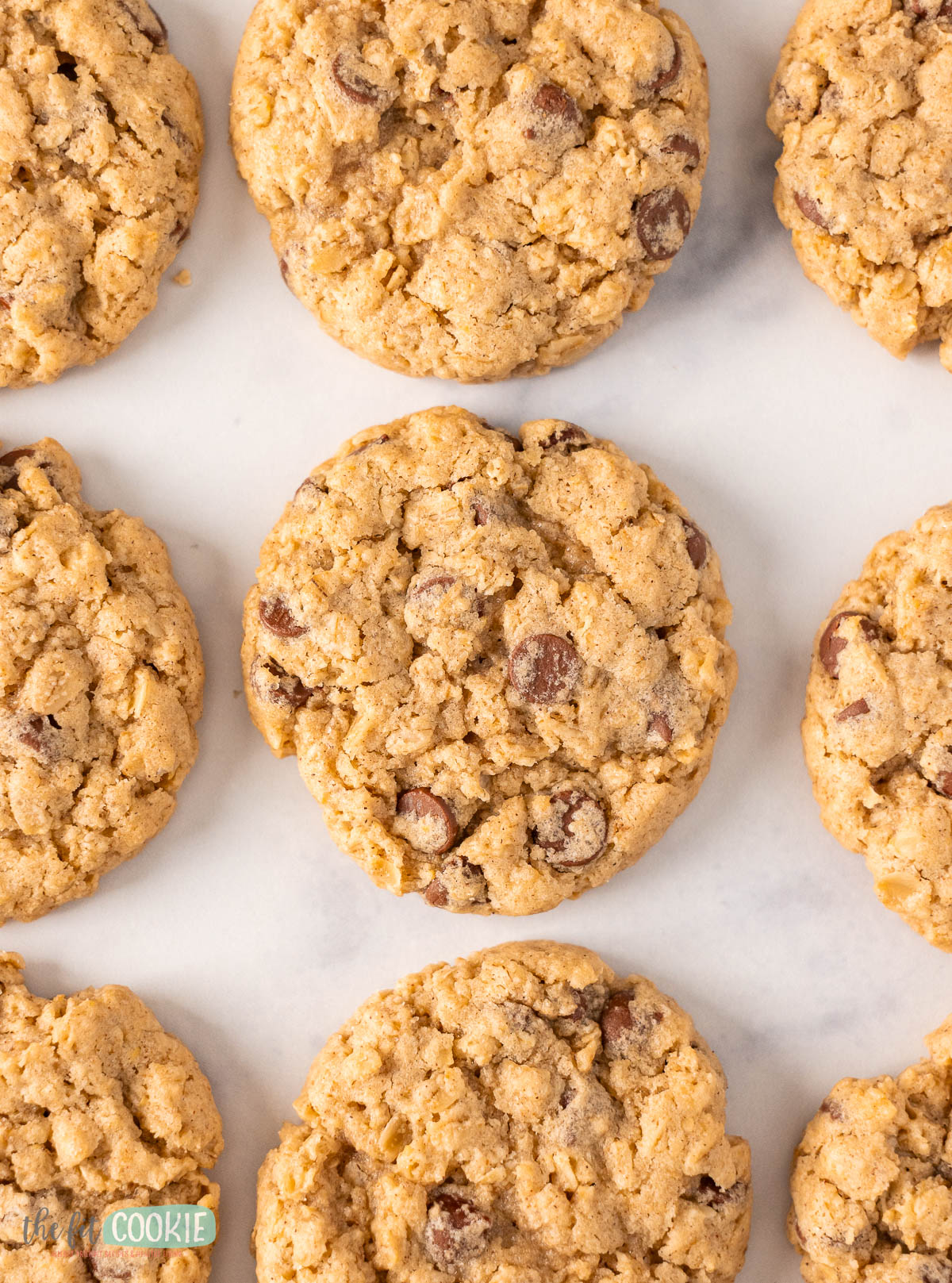 allergy friendly oatmeal chocolate chip cookies are arranged evenly on a white surface.