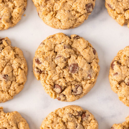 Nine oatmeal chocolate chip cookies are arranged in neat rows on a white surface, showcasing their golden edges and rich chocolate chips.