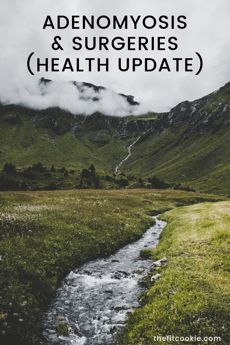 If you've been following my health journey, here's a recent update! Here's my health update from this summer about my adenomyosis and surgeries