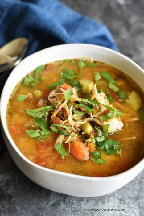 Instant Pot Vegetable Soup with Shredded Chicken (paleo, low carb) - Fearless Dining