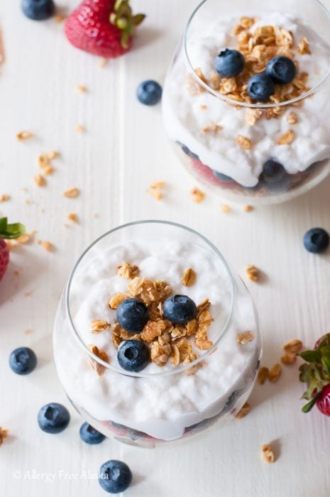 Easy Instant Pot Coconut Milk Yogurt by Allergy Free Alaska