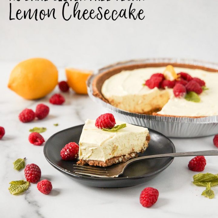 No Bake Dairy Free Lemon Cheesecake (Gluten Free) • The Fit Cookie