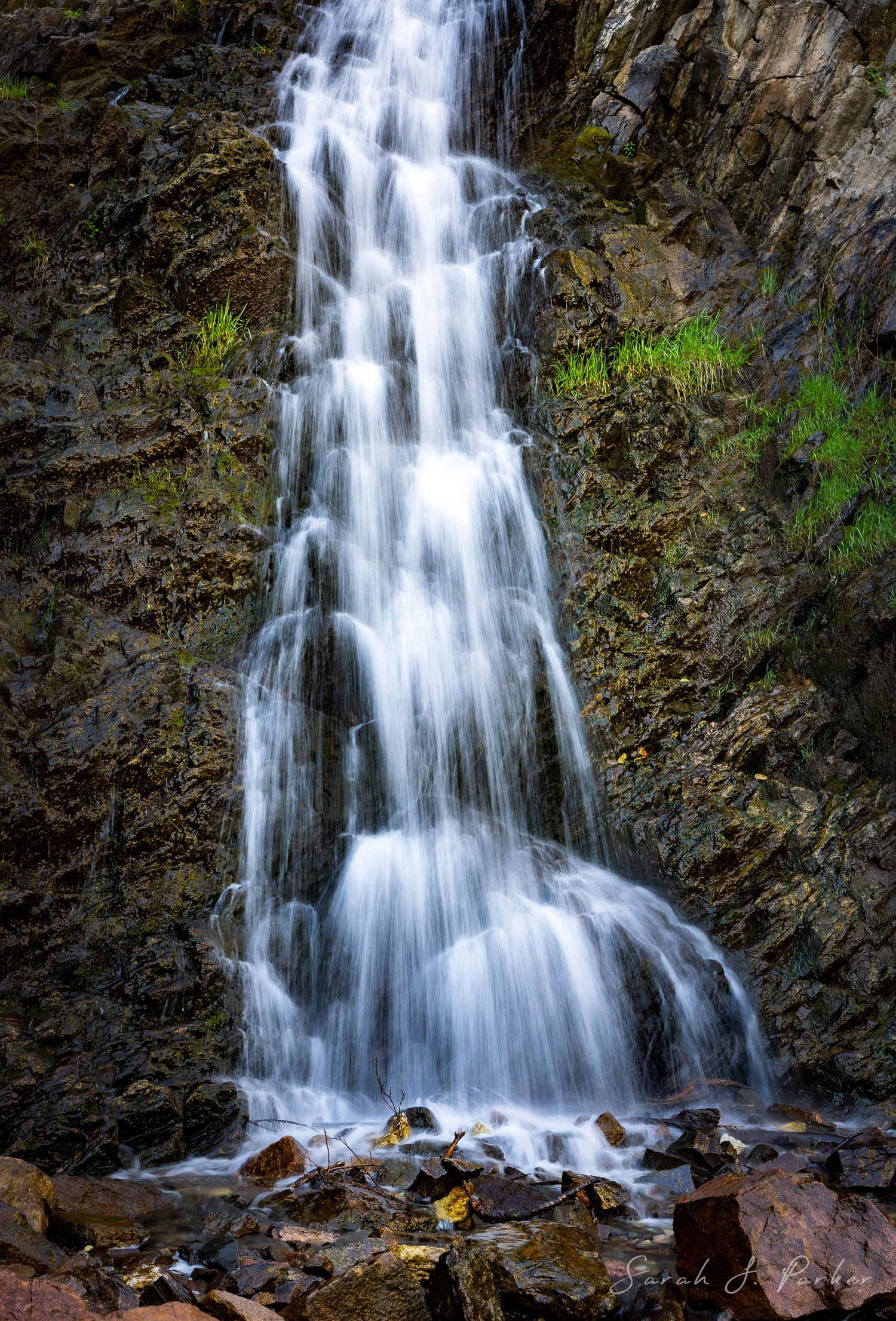 A small waterfall cascades down a rocky cliff, reminiscent of Garden Creek Falls, with green grass growing in patches along the wet stone.