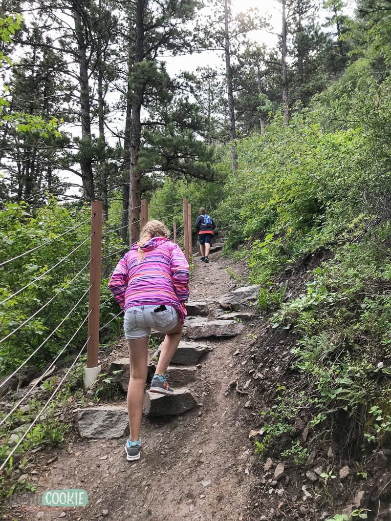 hiking up to the observation decks at Garden creek falls