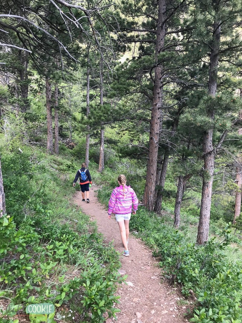 hiking in wyoming