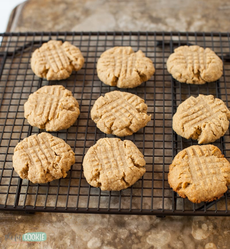 Gluten Free SunButter Cookies (Vegan) • The Fit Cookie