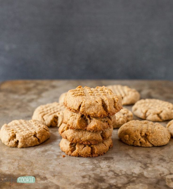 Gluten Free SunButter Cookies (Vegan) • The Fit Cookie