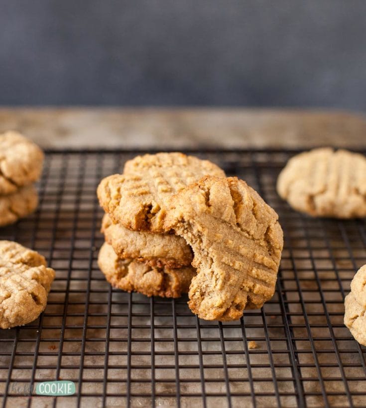 Gluten Free SunButter Cookies (Vegan) • The Fit Cookie