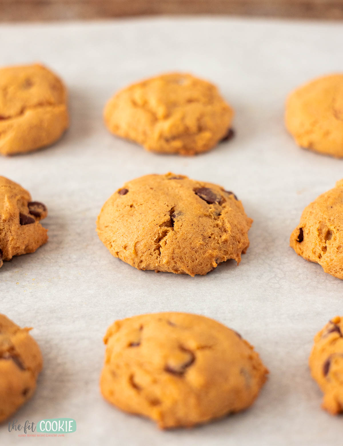 soft Pumpkin chocolate chip cookies are arranged on a sheet of parchment paper.