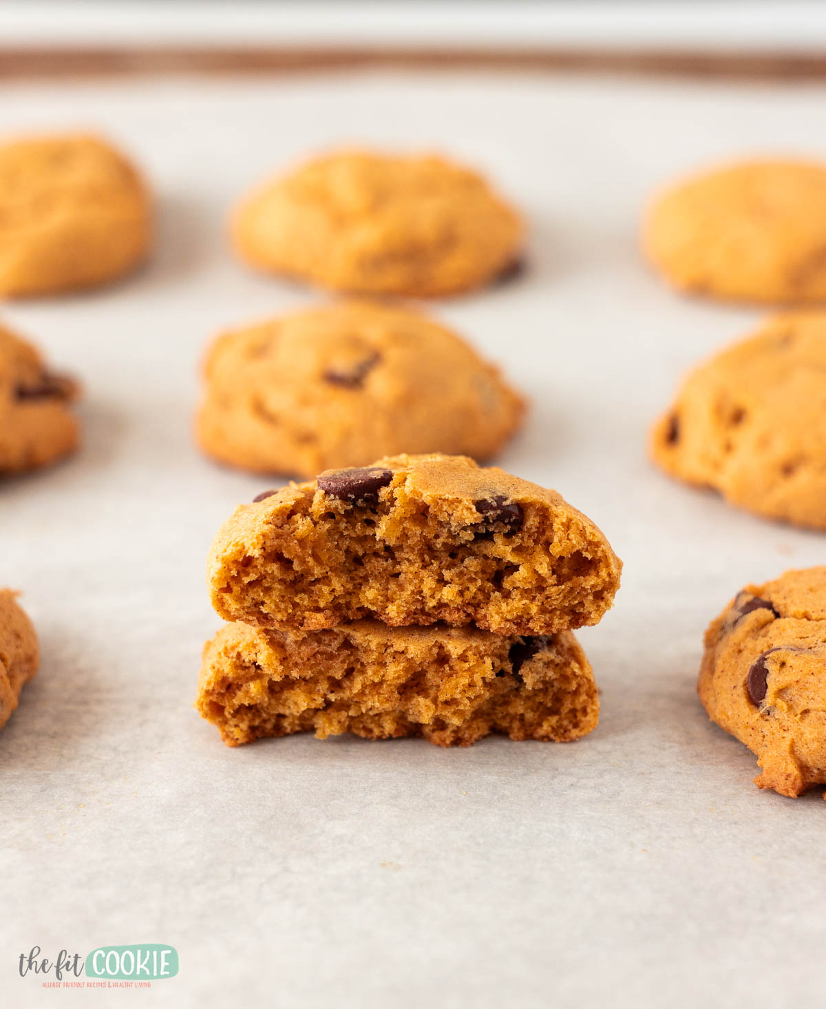A soft gluten free pumpkin chocolate chip cookie broken in half sits on parchment paper, surrounded by several whole cookies in the background.