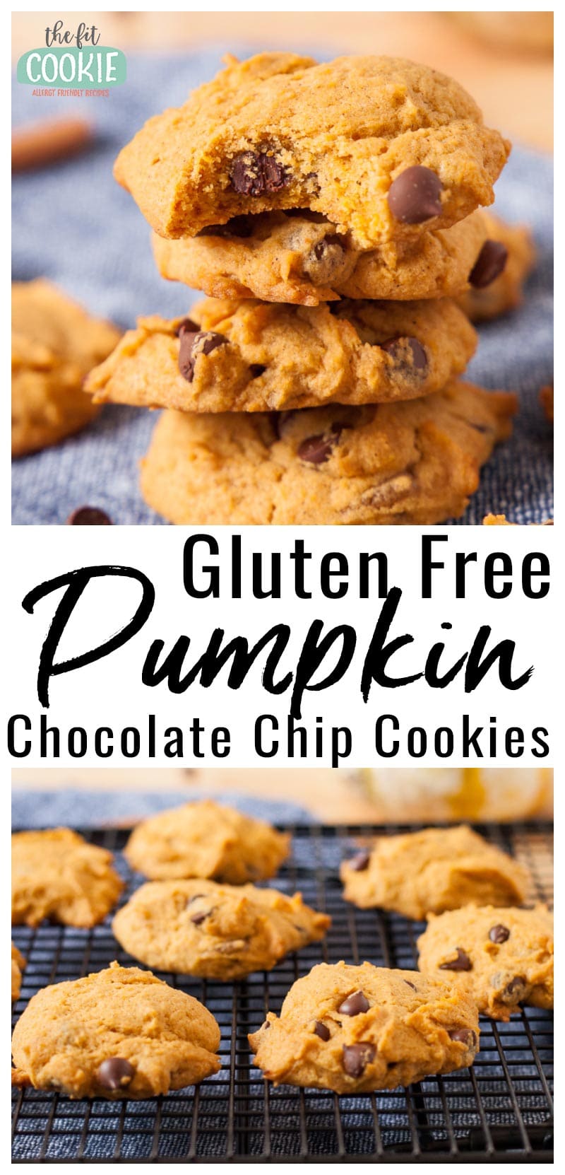 photo collage of gluten free pumpkin chocolate chip cookies