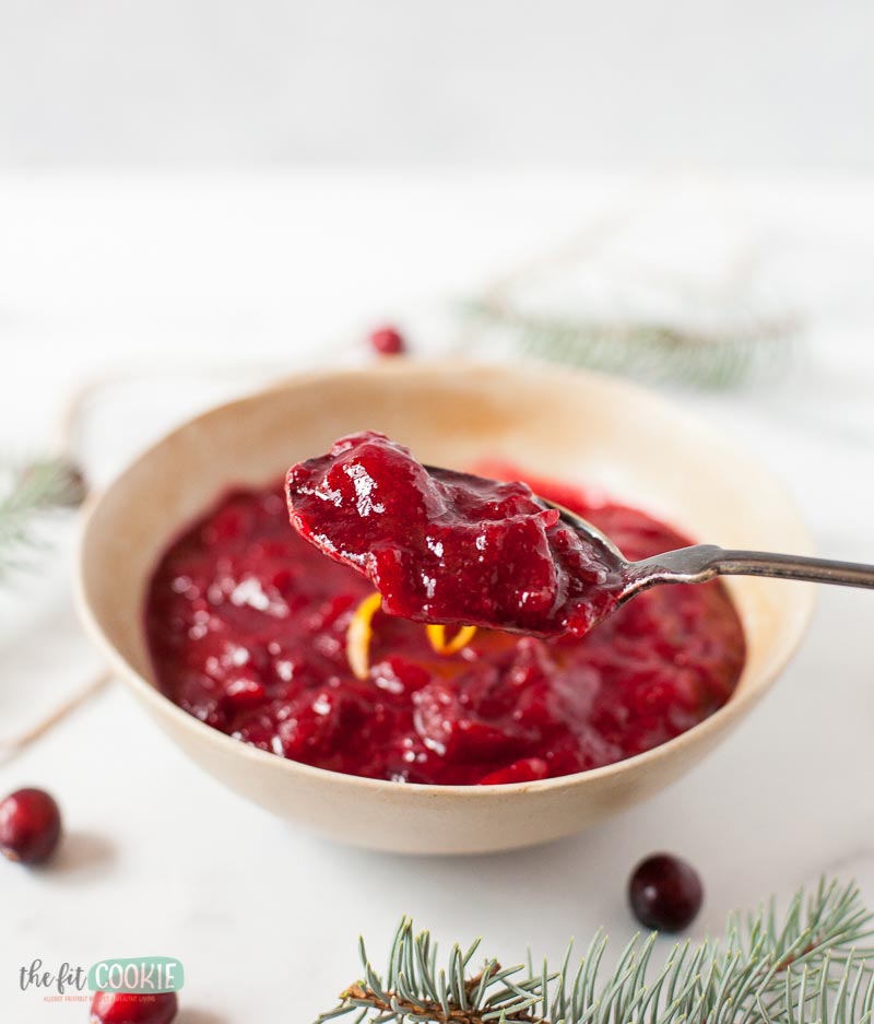 spoonful of fresh cranberry sauce - homemade and naturally sweetened