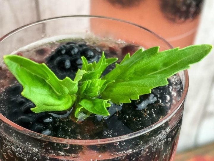 Image for Sparkling Blackberry Basil Mocktail Recipe