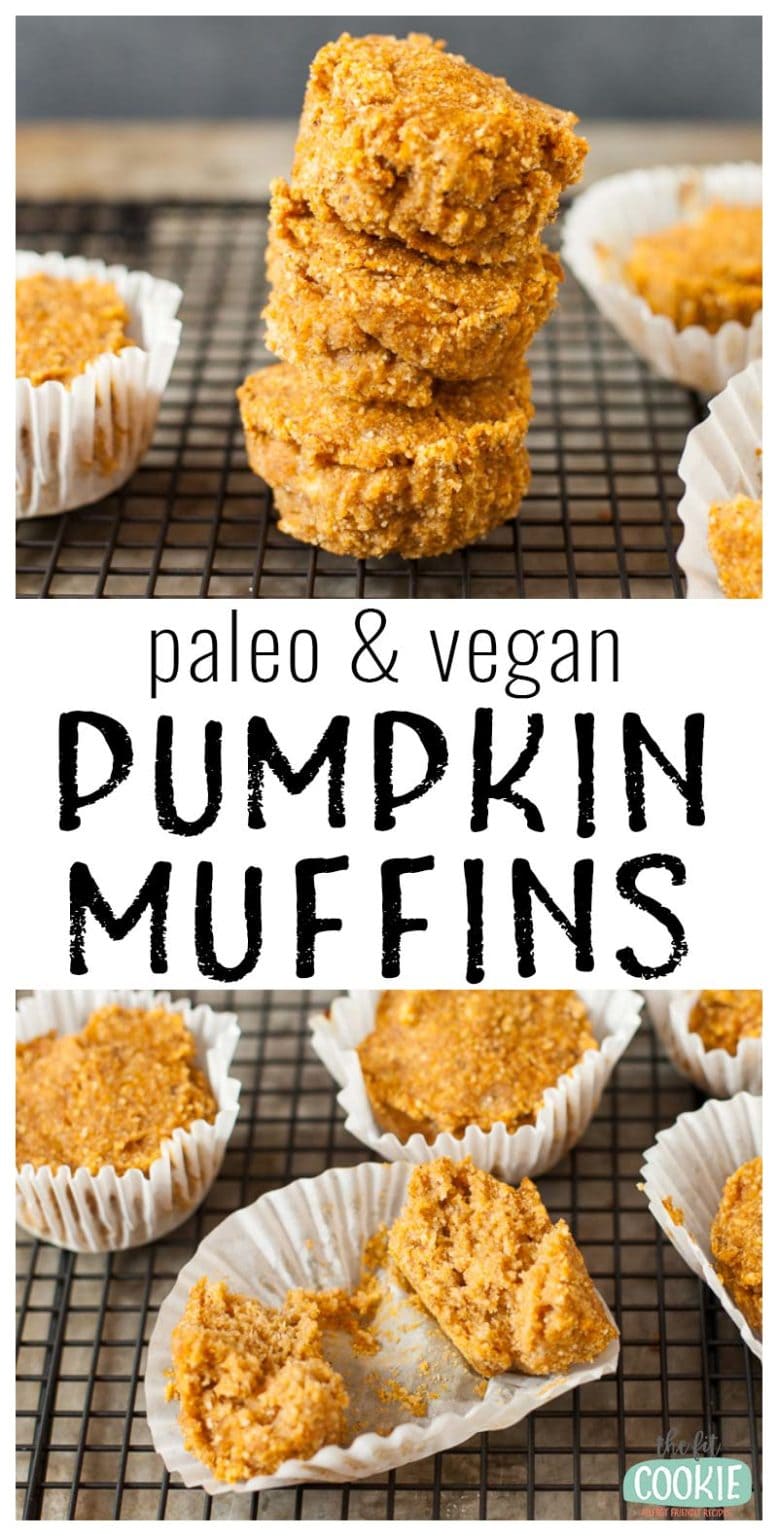 Easy Paleo Pumpkin Muffins (Egg Free) • The Fit Cookie