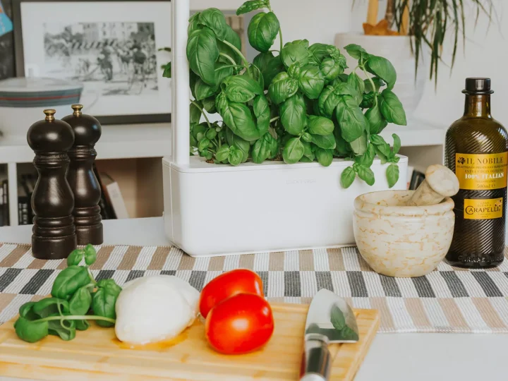 Smart garden filled with fresh basil on a kitchen counter.
