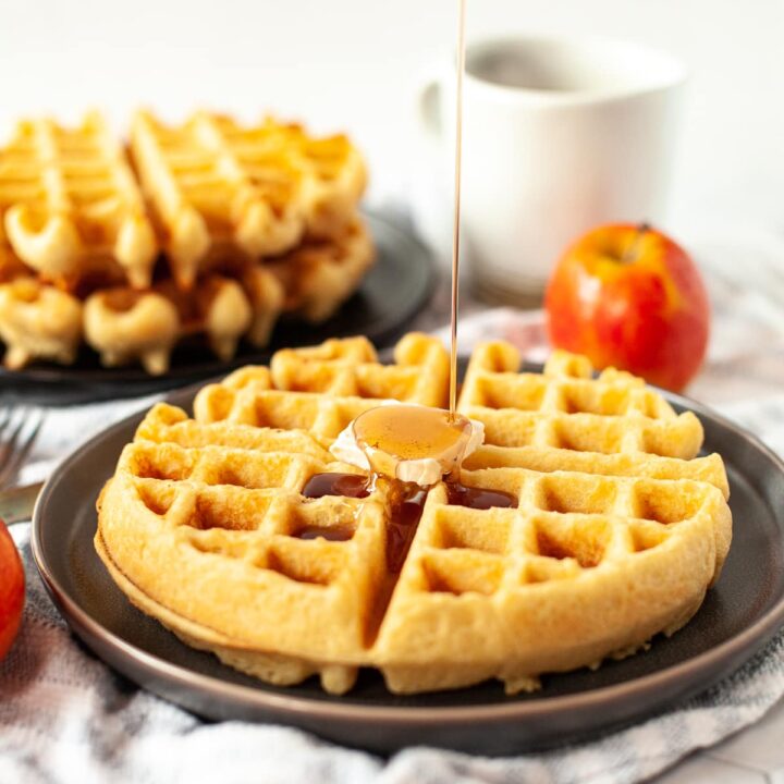 Gluten Free Waffles (Dairy Free and Egg Free) • The Fit Cookie