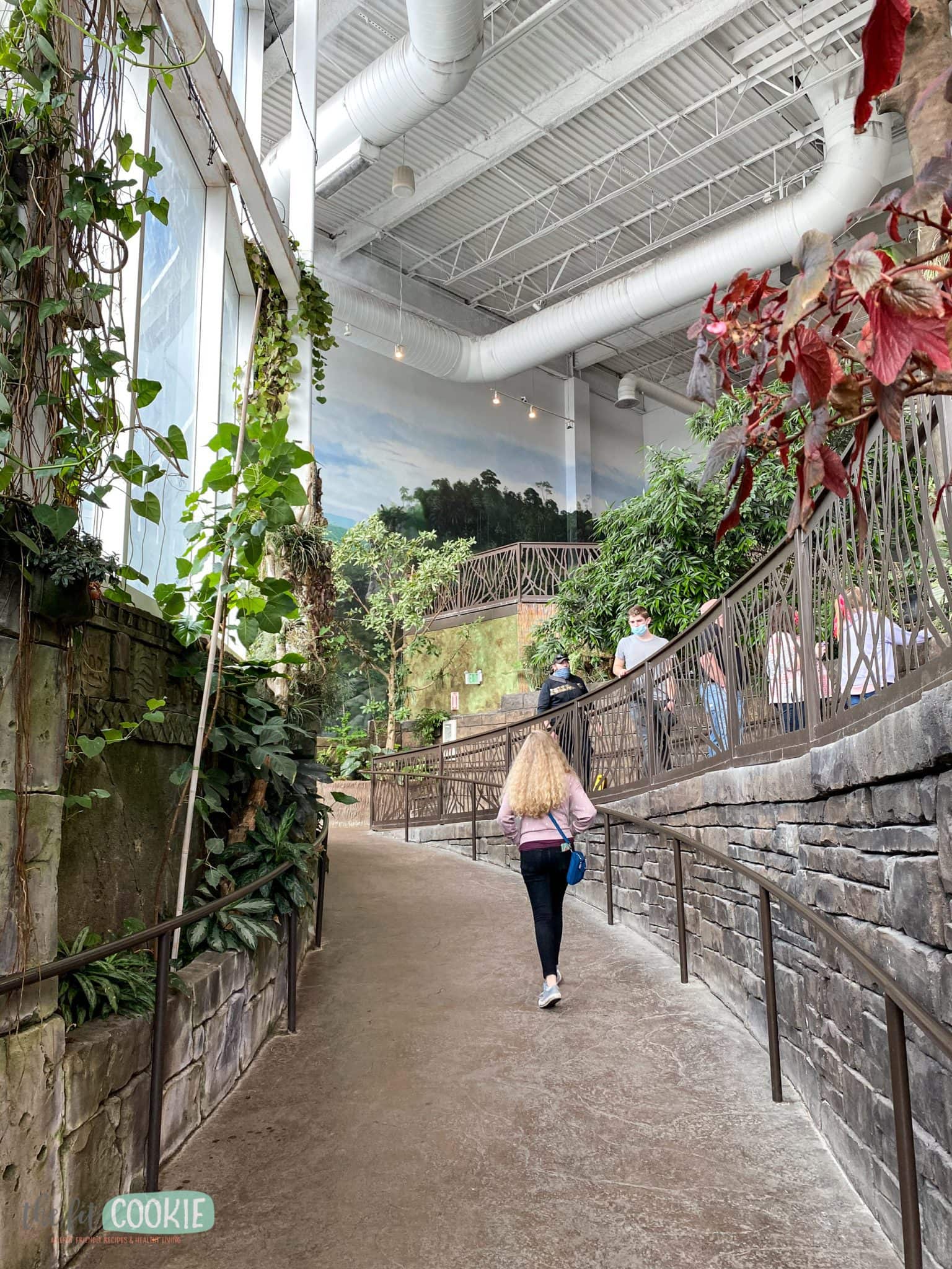 The Living Aquarium, Utah • The Fit Cookie