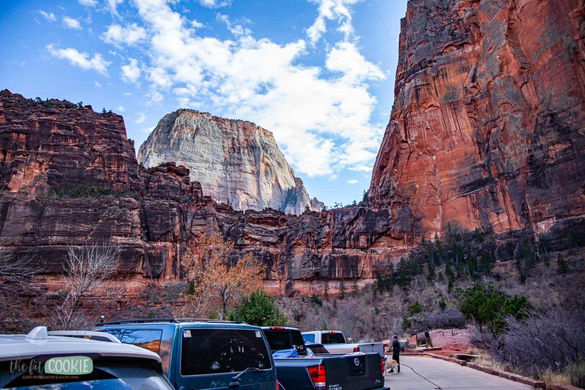 view of Angel's Landing and The Great White Throne in Zion 