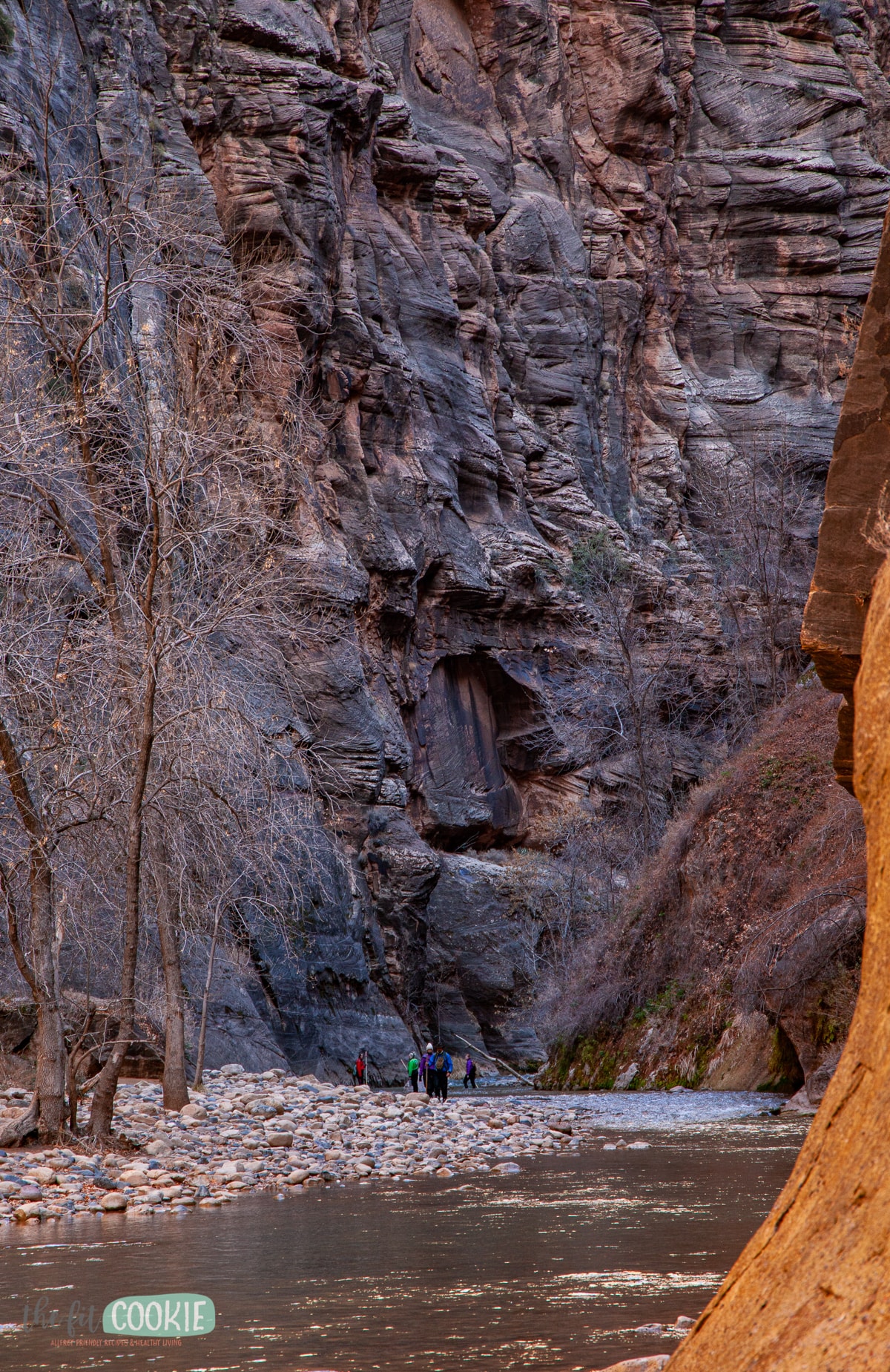 The beginning of The Narrows in Zion National Park