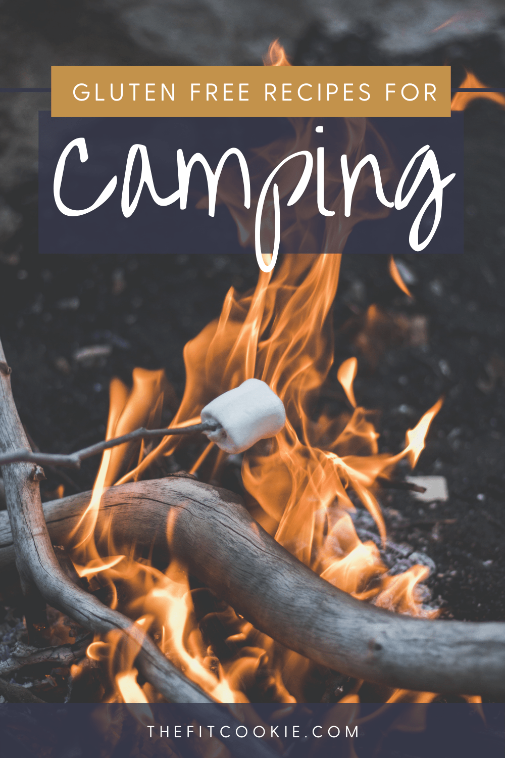 campfire with marshmallow cooking over it with text overlay that says "gluten free recipes for camping"