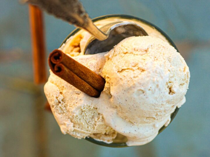 Image for Paleo Cinnamon Ice Cream- Keto, AIP, GAPS, Vegan