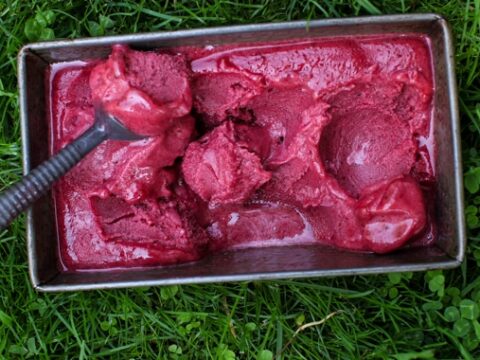 Image for Muscavado Blueberry Plum Sorbet