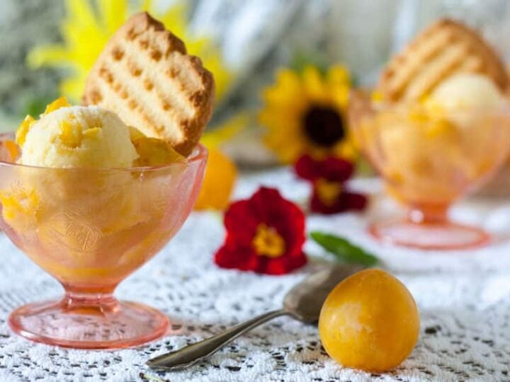 Image for Yellow Plum Sorbet 